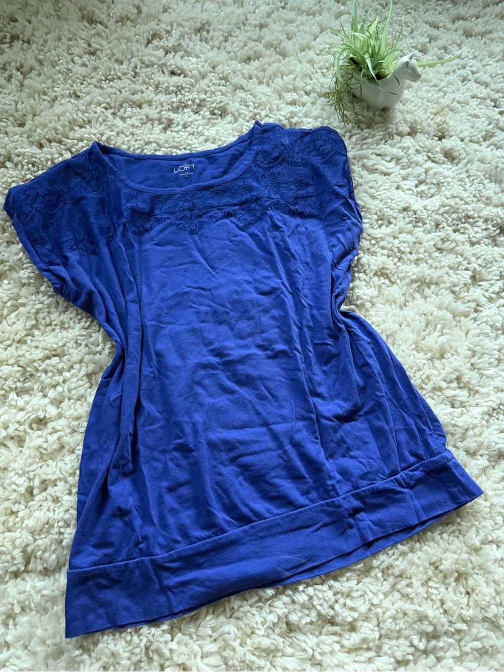 LOFT Royal Blue Lace-Yoke casual basic minimalist summer Women's Top